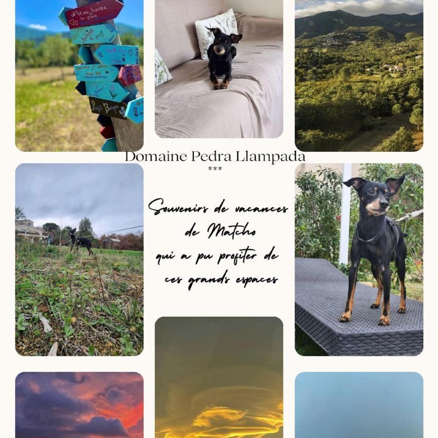 Domaine Pedra Llampada Gite Mer Villelongue-dels-Monts Zewnętrze zdjęcie