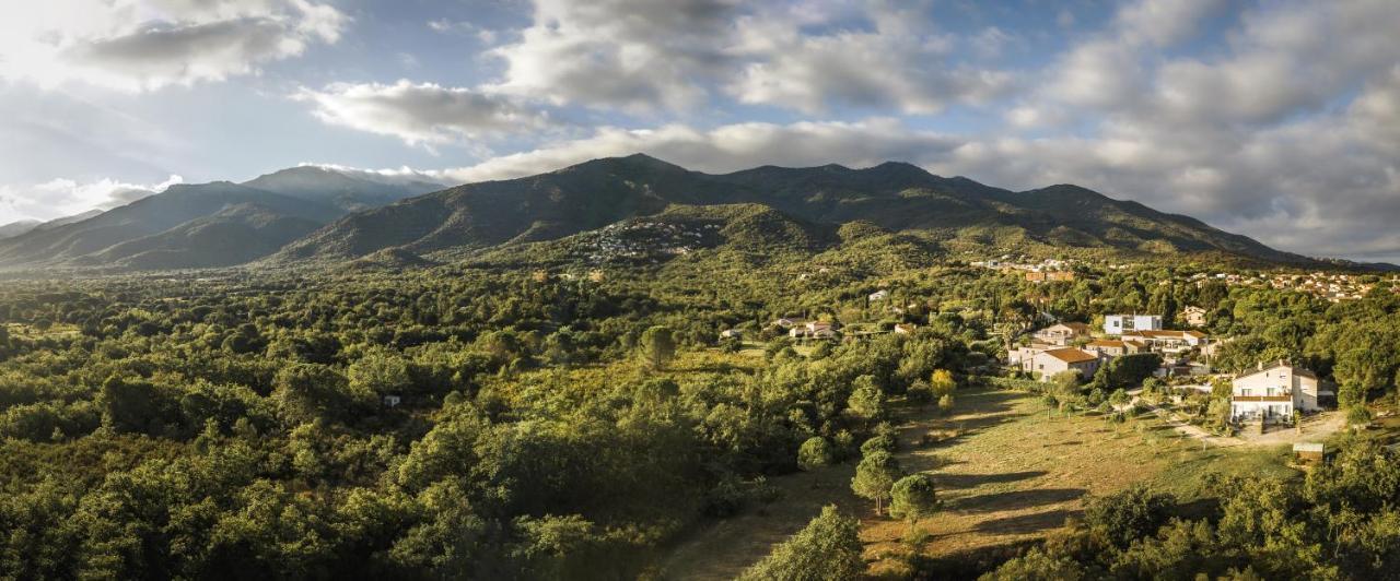 Domaine Pedra Llampada Gite Mer Villelongue-dels-Monts Zewnętrze zdjęcie